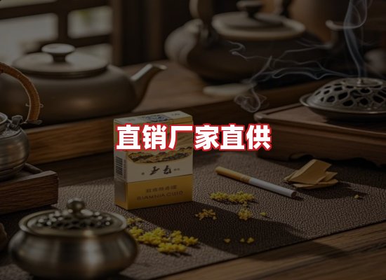 专业团队